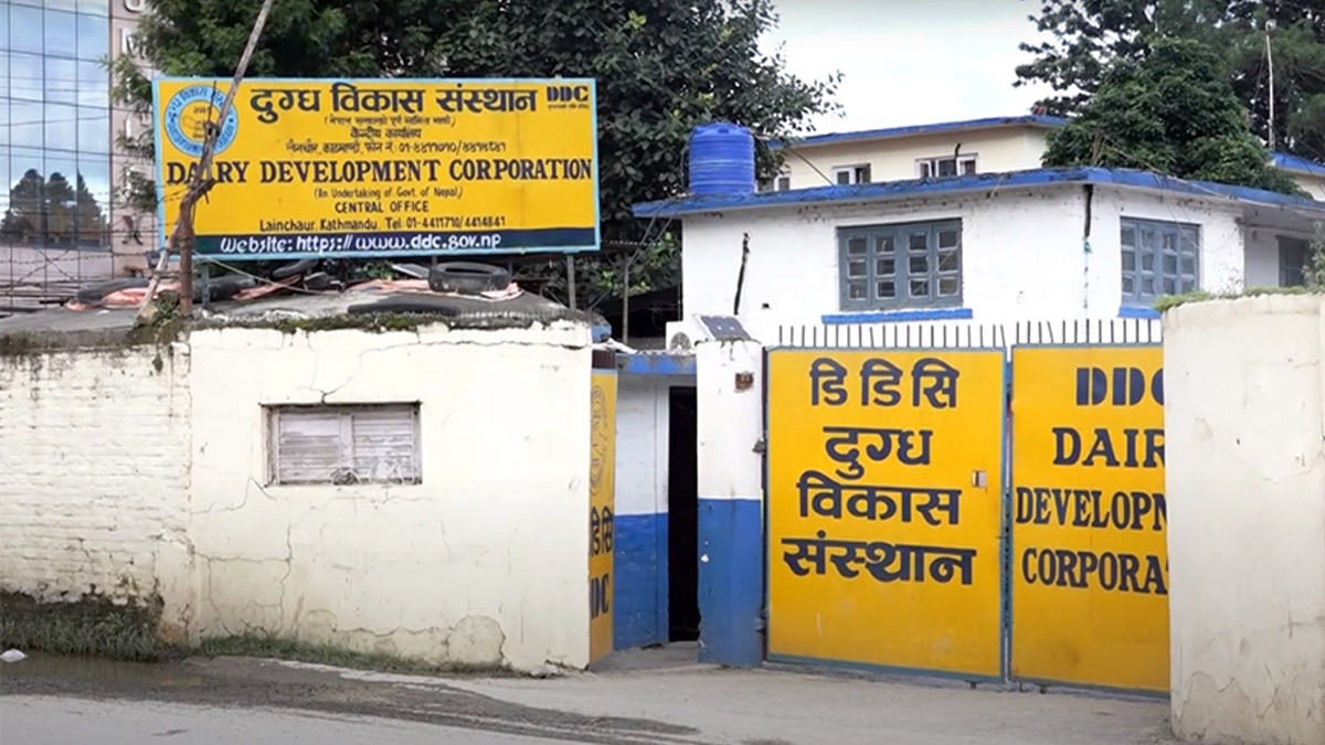 डीडीसीमा सीआईबीको छापा