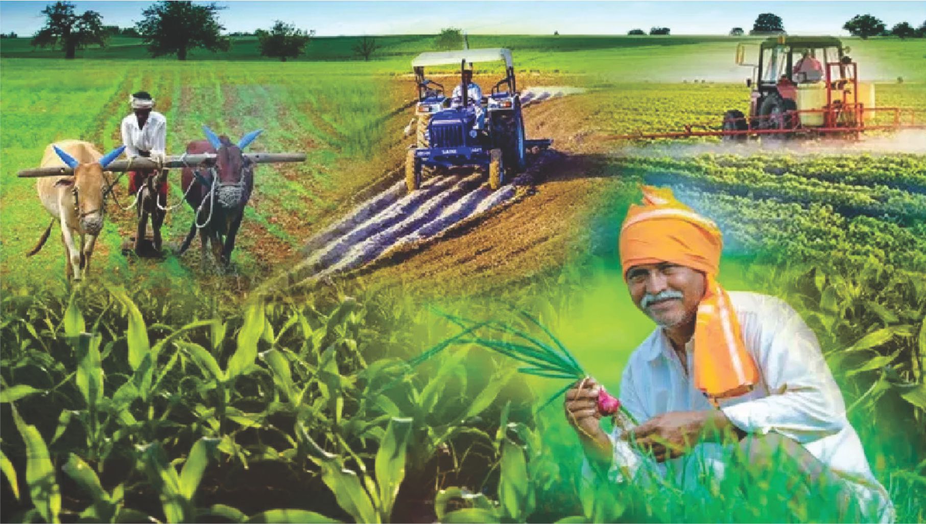 दिगो कृषि रणनीति : उत्पादनमुखी समृद्धिको आधार