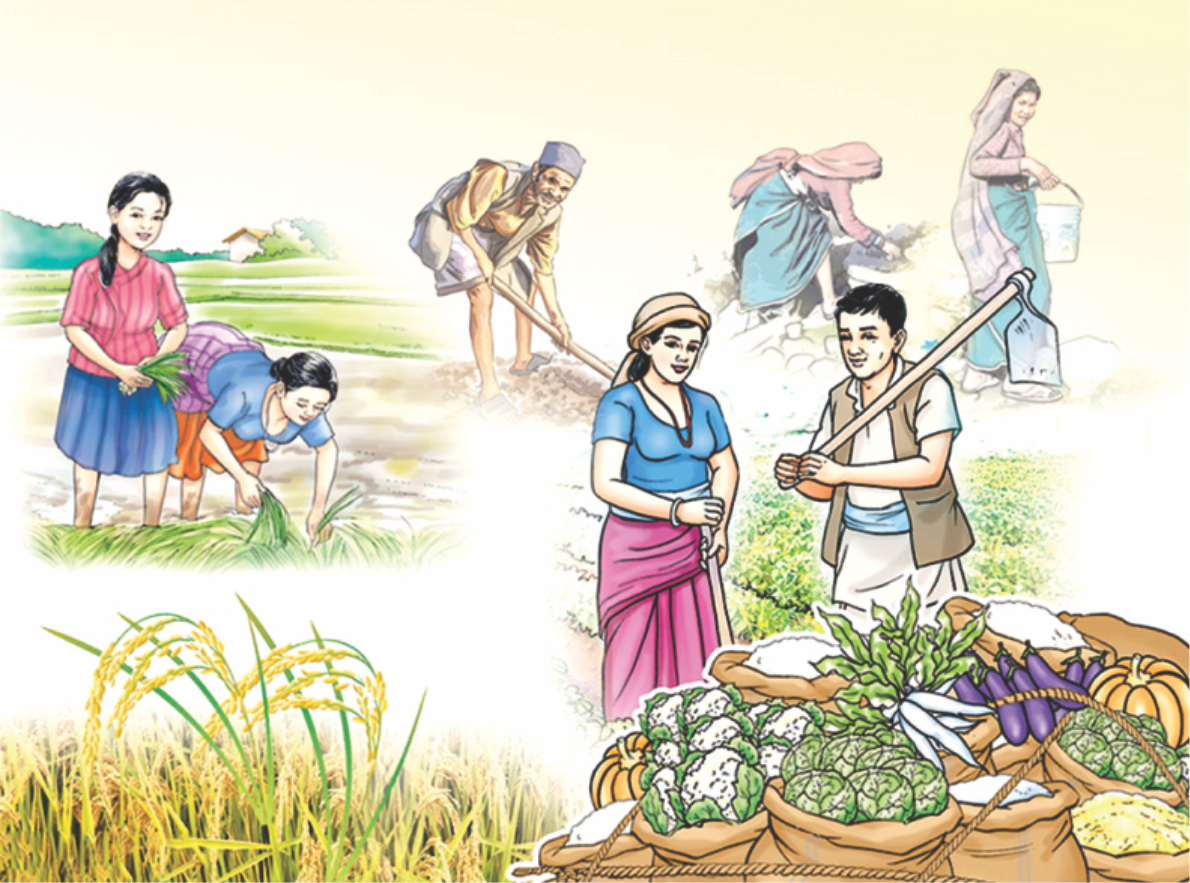 कृषिमा आत्मनिर्भरताः समृद्ध अर्थतन्त्रको आधार