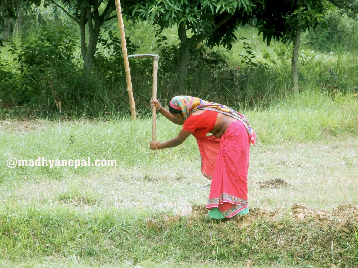 औपचारिक श्रममा बढ्दै मधेशी महिला